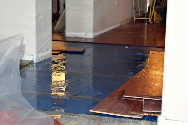Professional Water Extraction technician working in Bishop, GA